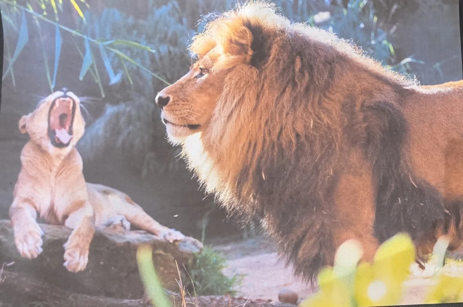 Canon PIXMA iP7250 Tintenstrahldrucker Fotodrucker Duplex CD/DVD Druck Airprint